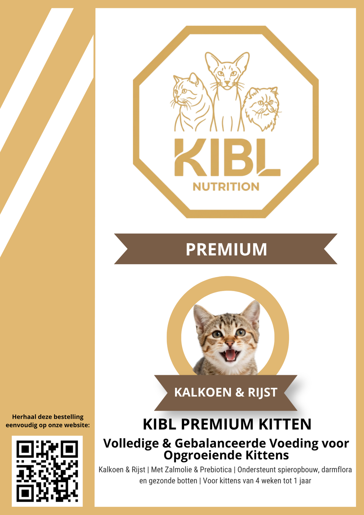 KIBL Premium Kitten